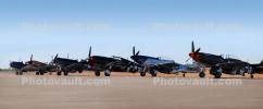 WW2 Warbirds, line-up, P-51D, P-47, P-40, MYFD02_103