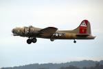 B-17, taking-off, airborne, tailwheel, B-17G, 42-31909, MYFD02_219