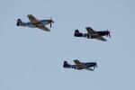 Formation Flight of P-51D Mustangs, D-Day Invasion Stripes, Identification Markings, MYFD04_001