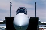 Air Scoops, McDonnell Douglas F-15 Eagle, head-on, MYFV01P15_14