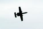 A-10 Thunderbolt Warthog, Abbotsford Airport, Planform