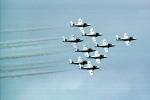 Smoke Trails, Canadian Snowbirds, formation flight, flying Airborne, MYFV02P12_07