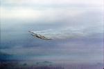 Smoke Trails, Canadian Snowbirds, formation flight, flying Airborne, MYFV02P12_10