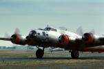 Boeing B-17 Flyingfortress, Abbotsford Airport, MYFV02P14_14