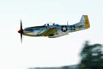 North American P-51D Mustang, flight, flying, airborne