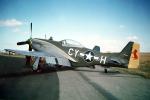 Ho-Ho, North American P-51D Mustang, MYFV05P01_14