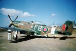 Tally Ho, North American P-51D Mustang, camouflage, RAF