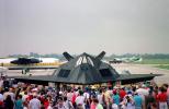 Crowds, People, Attendees, Air Show, Lockheed F-117A Stealth Fighter