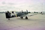 Junkers Ju-87 Stuka, Dive Bomber, Tactile, Aircraft, Aviation, Airplane, Plane, MYFV05P09_03