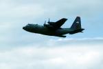 Lockheed C-130 Hercules, flight, flying, airborne