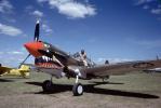 Curtiss P-40 Warhawk, MYFV06P07_19