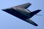Lockheed F-117A Stealth Fighter, milestone of flight