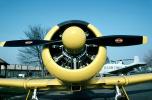 T-6G Texan, radial engine, propellers, spinner, head-on, MYFV08P09_18