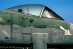 A-10A Thunderbolt II, MYFV09P02_08