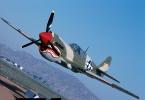 Curtiss P-40 Warhawk, MYFV09P10_15B