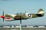 Curtiss P-40 Warhawk, March Air Force Base, MYFV09P10_18