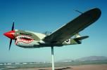 Curtiss P-40 Warhawk, March Air Force Base