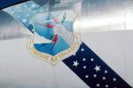 Strategic Air Command, logo, emblem, insignia, livery, stars, lightning, olive branch, SAC, MYFV10P02_10B