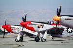 North American P-51D Mustang Noses, propellers