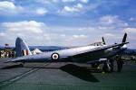 RR299, RR-299, De Havilland, Mosquito T.3, RAF, Roundel, MYFV12P05_12