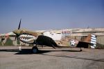 Curtiss P-40 Warhawk, Roundel