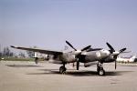 504, Lockheed P-38 Lightning