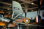 1599, Lysander, STOL, French Air Force, WW2, WWII, Roundel, MYFV12P14_05.0358