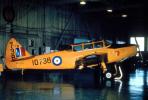 10738, Fairchild PT-19, Trainer Aircraft, Airplane, Plane, Prop, Roundel, MYFV12P14_06.0358