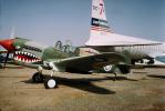 Curtiss P-40 Warhawk, MYFV12P14_09.0358