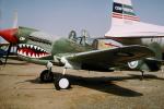 Curtiss P-40 Warhawk, MYFV12P14_09B.0358