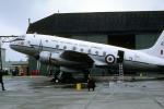 Handley Page Hastings C2, WD485 / 485, Royal Air Force, Air Support Command