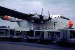 Blackburn Beverly C.1 XB269, RAF, Royal Air Force, Transport Command
