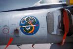 Dragon Noseart, Convair F-102 Delta Dagger, Shield, insignia, emblem, USAF, United States Air Force, MYFV13P12_09.0359