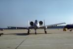 A-10 Thunderbolt, Warthog, head-on, MYFV13P14_08.0360