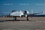 A-10 Thunderbolt, Warthog, MYFV13P14_10.0360