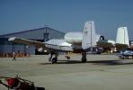 A-10 Thunderbolt, Warthog, MYFV13P14_12.0360