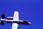 A-10 Thunderbolt, Warthog, Quansett, Rhode Island, MYFV14P03_01