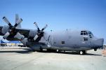 Lockheed C-130, MYFV14P14_13