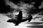 Lockheed C-130 Hercules, MYFV15P06_13BW