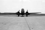 Douglas C-47 Skytrain, Chuting Stars, head-on, US Navy Parachute Team, 1950s, MYFV18P04_19