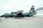 Lockheed C-130 Hercules, MYFV18P06_01