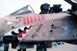 A-10 Thunderbolt Warthog, shark