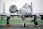 AF81 962, A-10 Thunderbolt Warthog, MYFV20P09_10