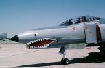 Sharks Teeth, McDonnell Douglas F-4 Phantom, MYFV20P13_02