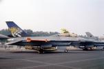 Lockheed F-16 Fighting Falcon, Tiger TAIL