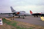 Panavia Tornado, Twin Engine Combat Aircraft, MYFV22P11_16