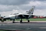 Panavia Tornado, Twin Engine Combat Aircraft, MYFV22P13_02