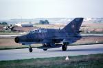 227, MiG-21, Jet Fighter, East German Air Force, Air Forces of the National People's Army, MYFV23P10_05
