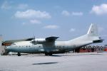 1516, Ethiopian Air Force, An-12B Cub, Addis Ababa, Dire Dawa, Milan Malpensa Airport