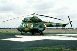 8825, PZL-Swidnik Mi-2URP Hoplite, Polish Air Force, Multipurpose utility helicopter, AgustaWestland Swidnik, Mil Mi-2, Poland, MYFV24P05_02